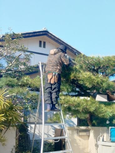 椿緑化株式会社