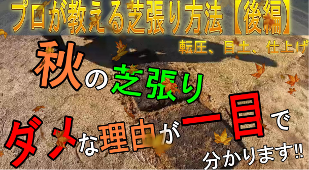 【プロが教える完璧な芝張り】後編！正しい知識を皆さんに！